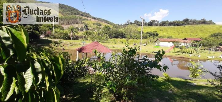 Fazenda à venda com 4 quartos, 700m² - Foto 8