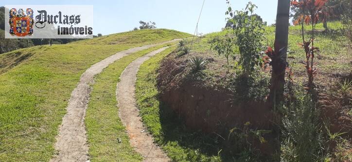 Fazenda à venda com 4 quartos, 700m² - Foto 29