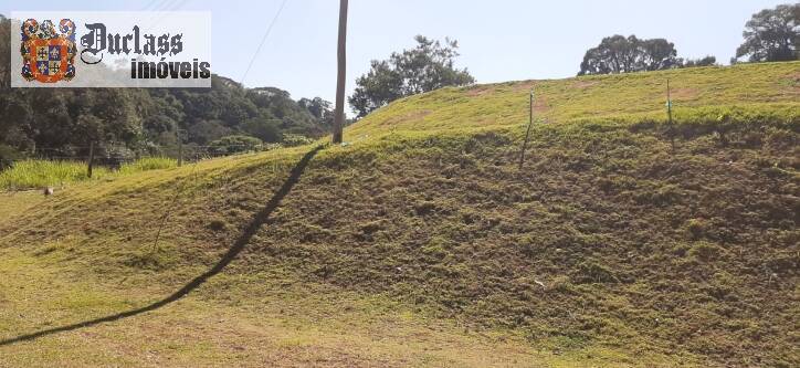 Fazenda à venda com 4 quartos, 700m² - Foto 31