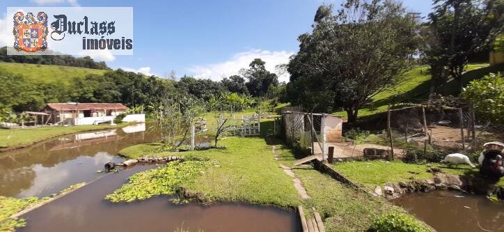 Fazenda à venda com 4 quartos, 700m² - Foto 35