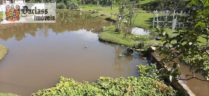 Fazenda à venda com 4 quartos, 700m² - Foto 36