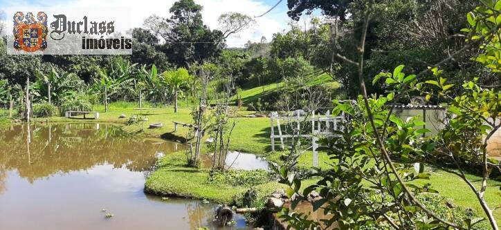 Fazenda à venda com 4 quartos, 700m² - Foto 37