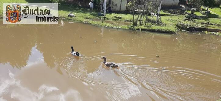 Fazenda à venda com 4 quartos, 700m² - Foto 44