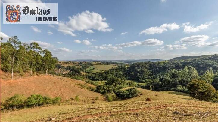 Fazenda à venda com 6 quartos, 500m² - Foto 20