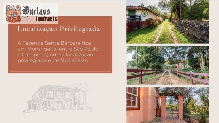 Fazenda à venda com 6 quartos, 500m² - Foto 43